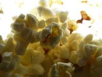 nevíte co to je, tož kukuřica ne